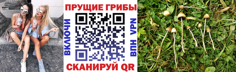 Псилоцибиновые грибы мухоморы Южно-Сахалинск